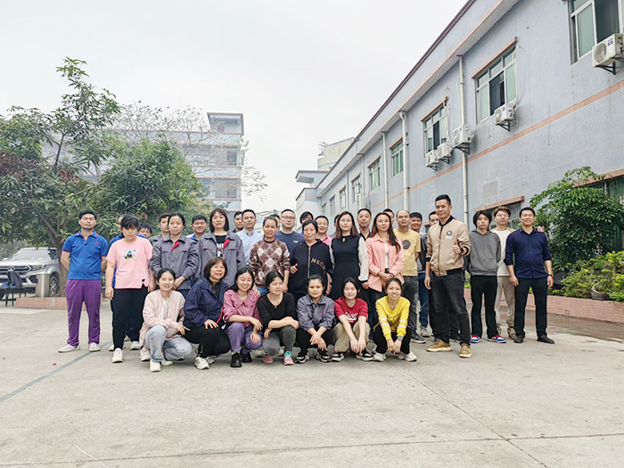 公司人员